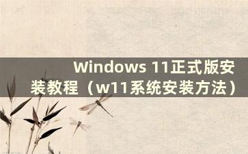 Windows 11正式版安装教程（w11系统安装方法）